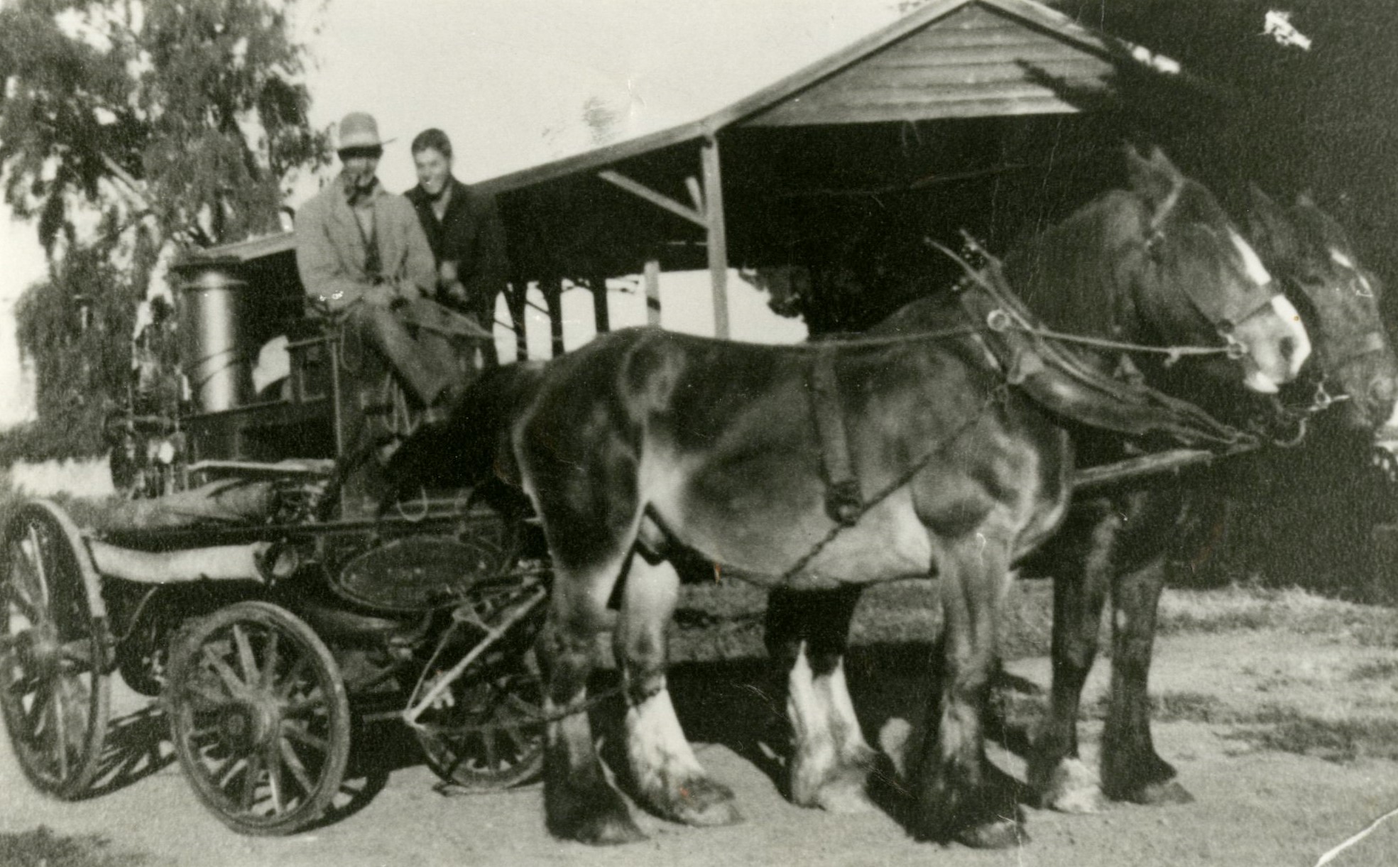 Horse and cart