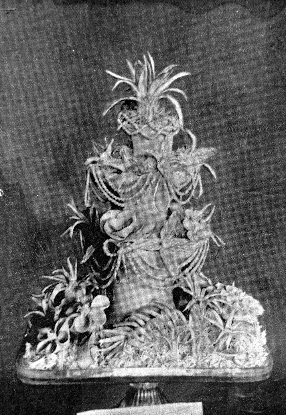 Mrs J. Brown's first prize exhibit of fancy butter