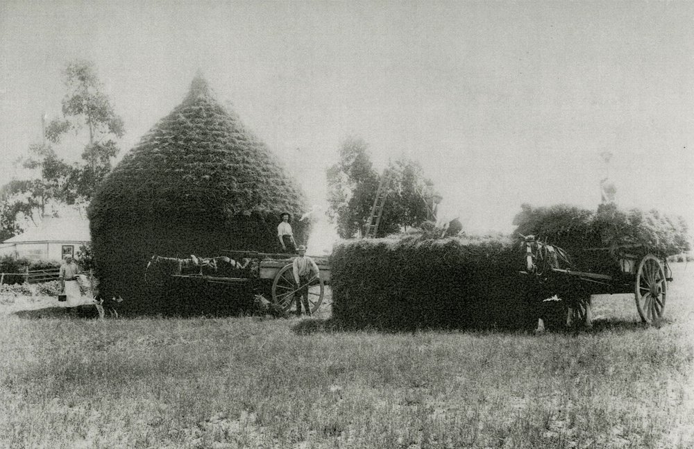 Haystack and farm carts