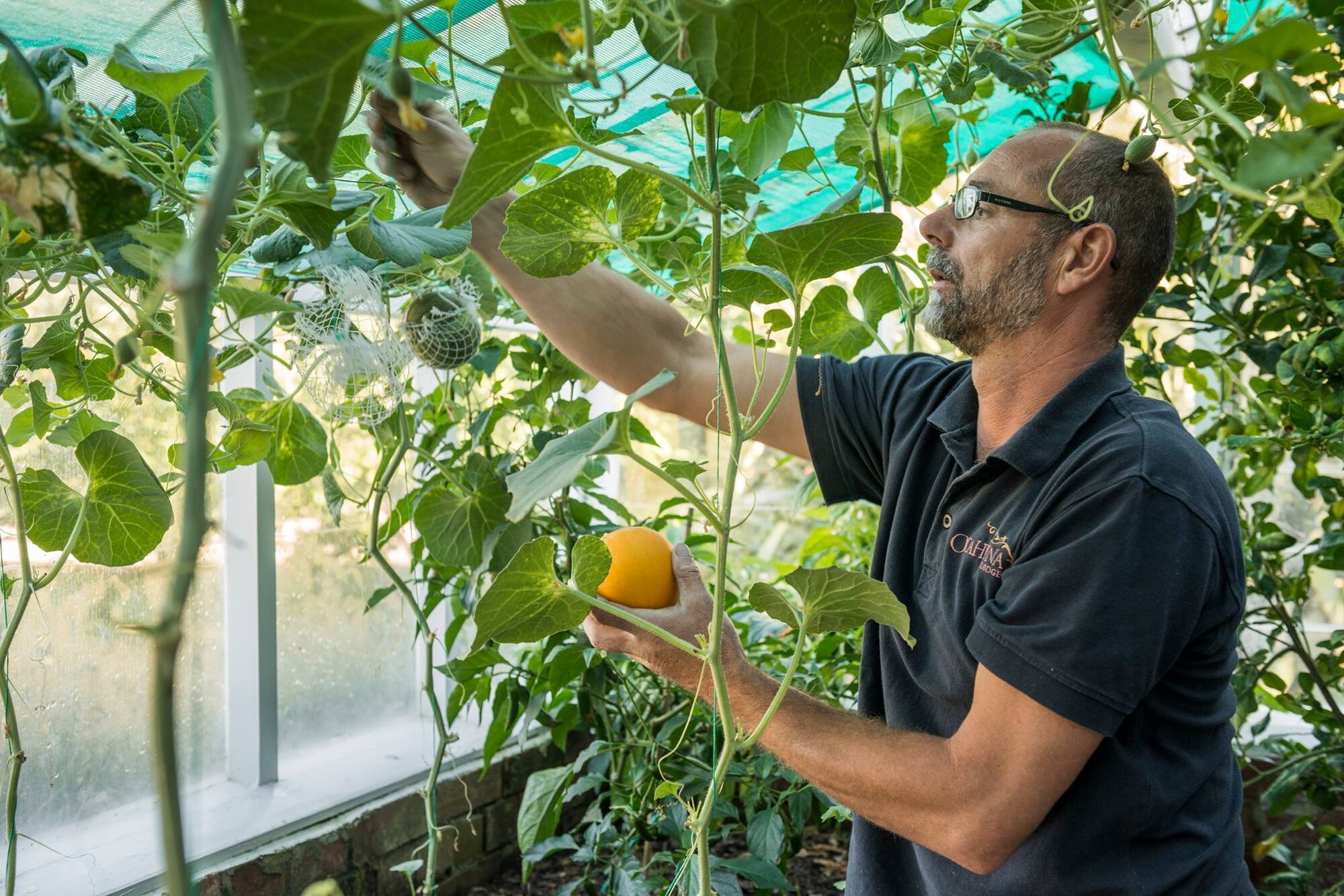 Otahuna gardener Steve Marcham