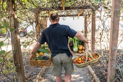 Potager Garden at Otahuna lodge