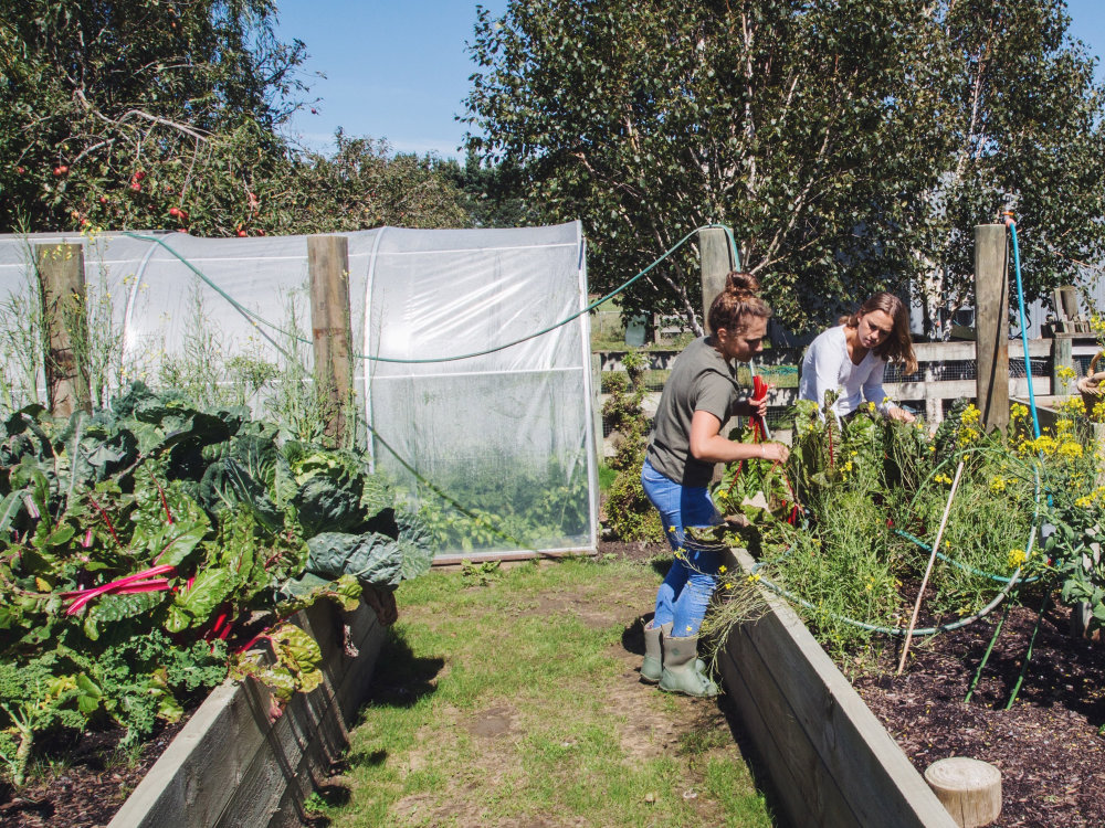 Margo and Rosa in the Flanagan vegie garden, 2006