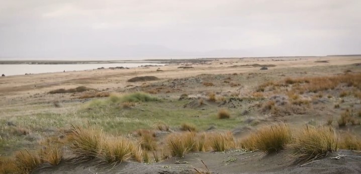 Ngāi Tahu ancestors at Kaitōrete Spit 