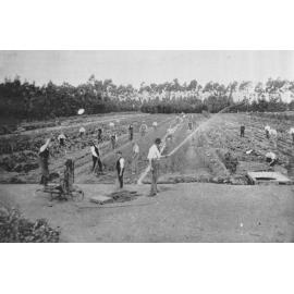 Gardening at Burnham Industrial School