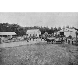 Burnham Industrial School farmyard and plant, 1902