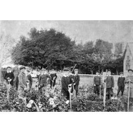 Waddington School pupils amongst the flowers