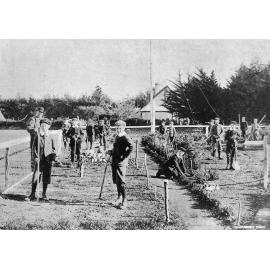 Waddington School pupils amongst the flowers