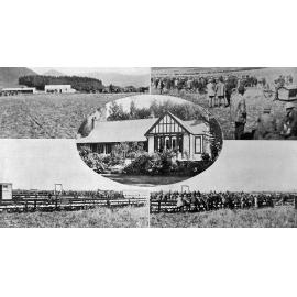 The Dalethorpe dispersal sale