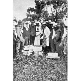 Demonstration of a modern hive