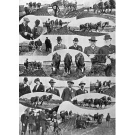 Paparua Ploughing Match