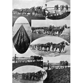 The Ellesmere ploughing match, 1913