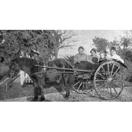 Family of J. H. Williams