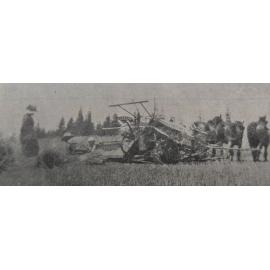 Binding, WW1