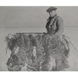 Duck shooting maimai