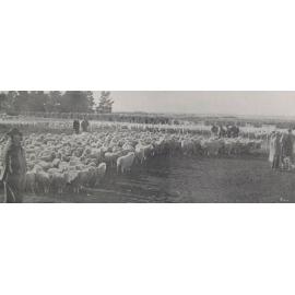 Heslerton Dispersal Sale, 1905