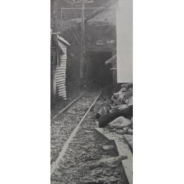 Lake Coleridge Tunnel tragedy, view down the tunnel which collapsed