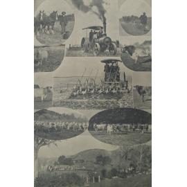 Steam tractor ploughing and harrowing at Dunsandel