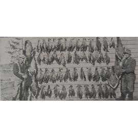 Shooting at Lake Ellesmere