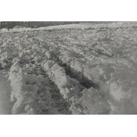 Snow on the Coalgate road four days after the storm, 1918