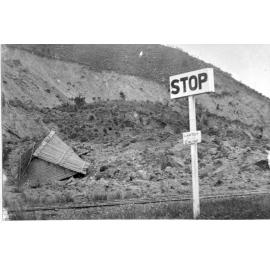 Whitecliffs landslide