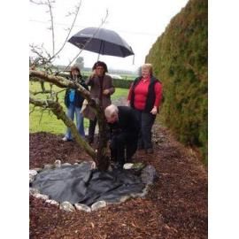 Opening of Lincoln Community Gardens