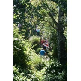 Bioblitz at the Liffey