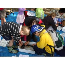 Water testing at the Liffey
