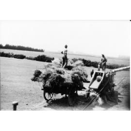 Riversleigh atop the hay wagon