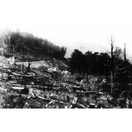 Cleared bush at Staircase Gully, 1898