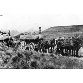 Mt White wool on West Coast Road