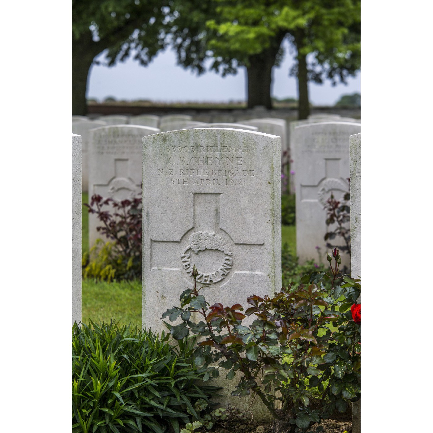 Rifleman George Barnett Cheyne