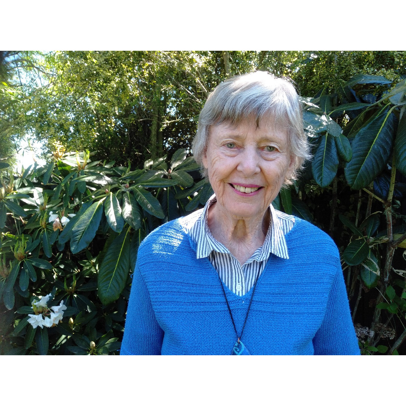 Denise Sheat