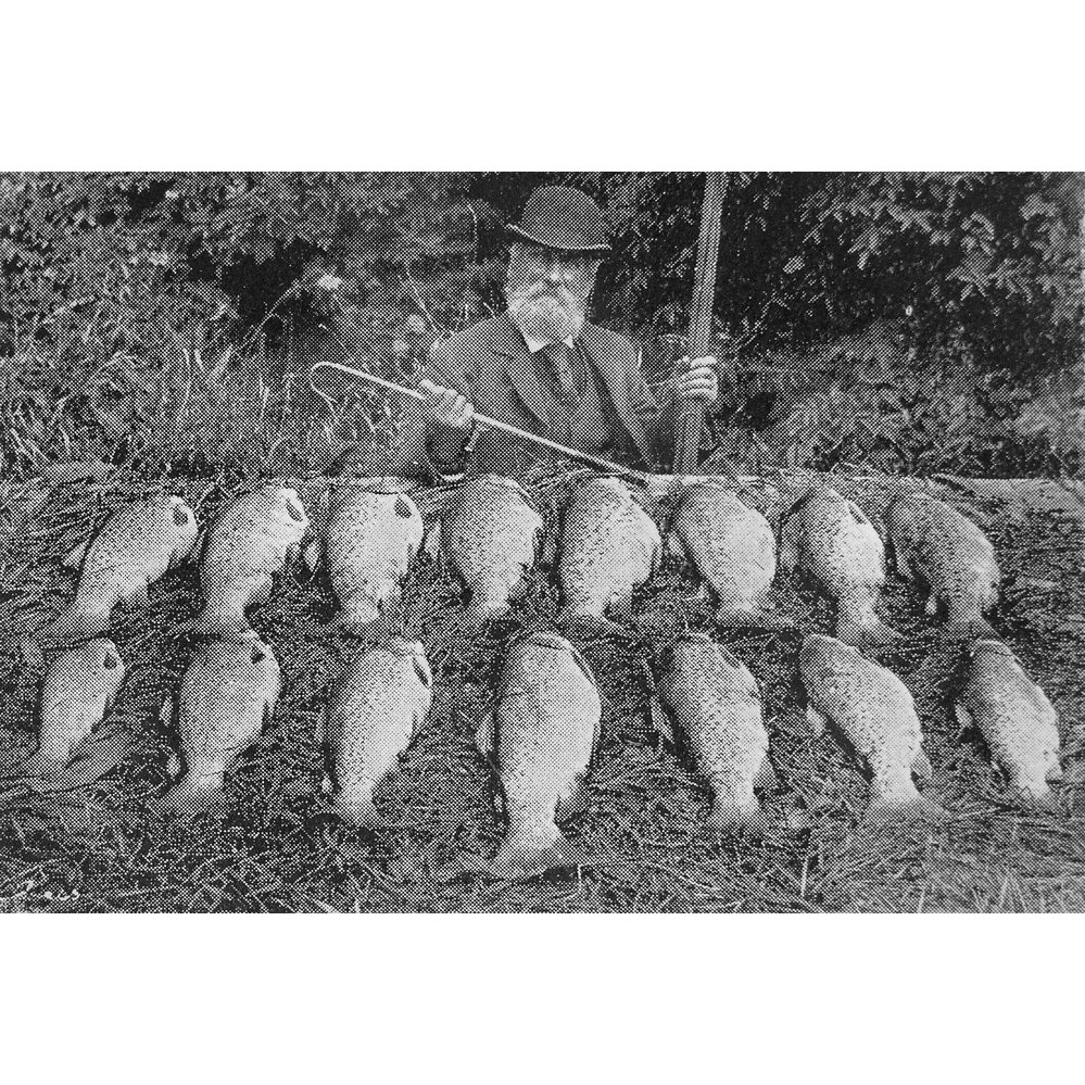 Hunting and Fishing  