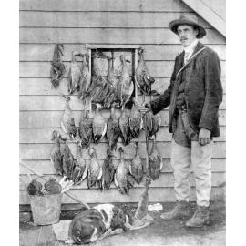 Duck shooter at Lake Ellesmere