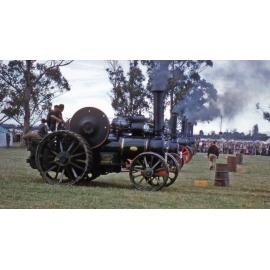 Traction Engine Rally