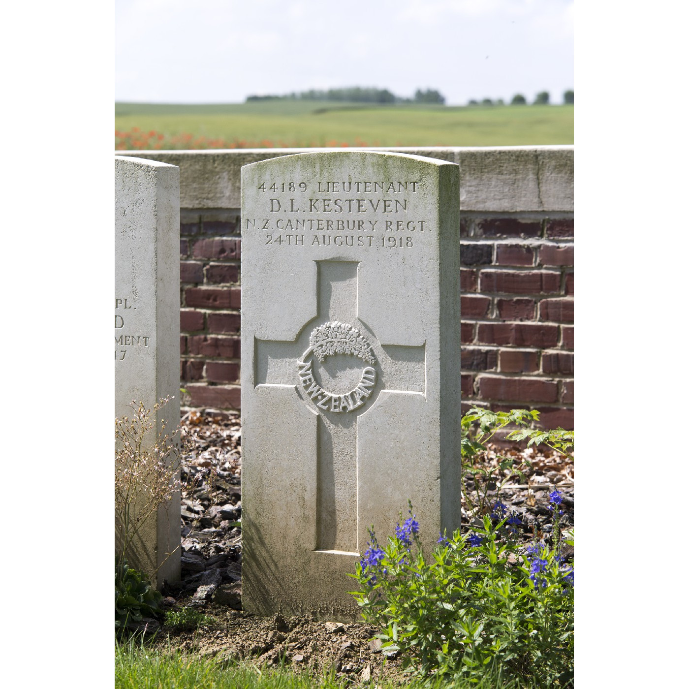Lieutenant Douglas Leighton Kesteven
