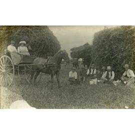 Haymaking in Selwyn
