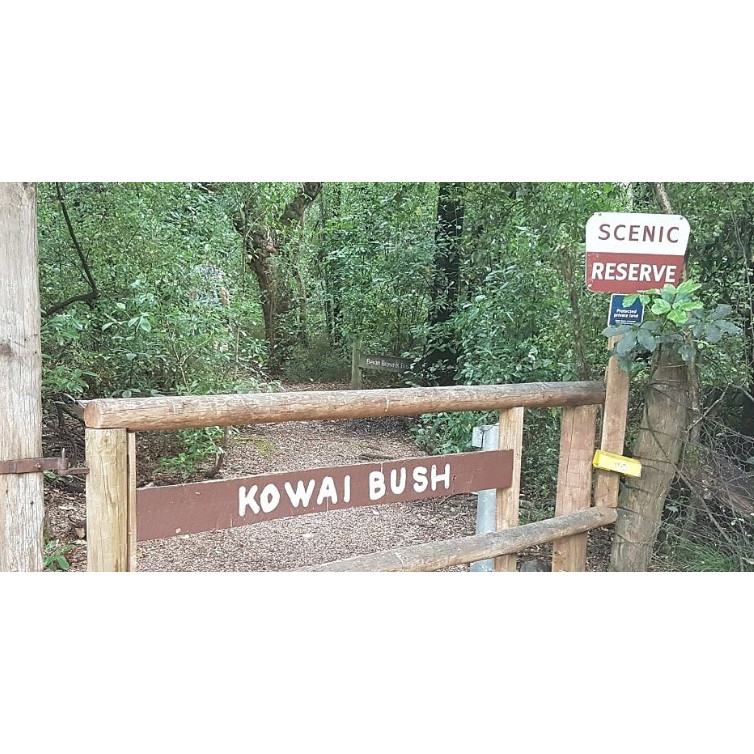 Kowai Bush