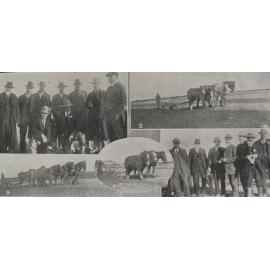Ellesmere Ploughing Match at Irwell