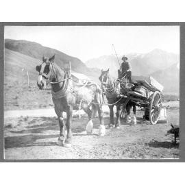 Alf Ferguson carting timber