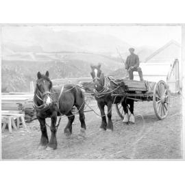 Alf Ferguson carting timber near Broken River