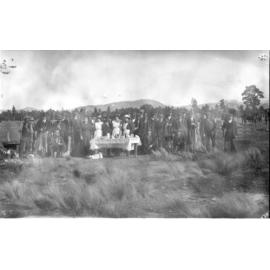 Hare drive at Kowai Bush