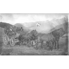 Hare drive at Mt White