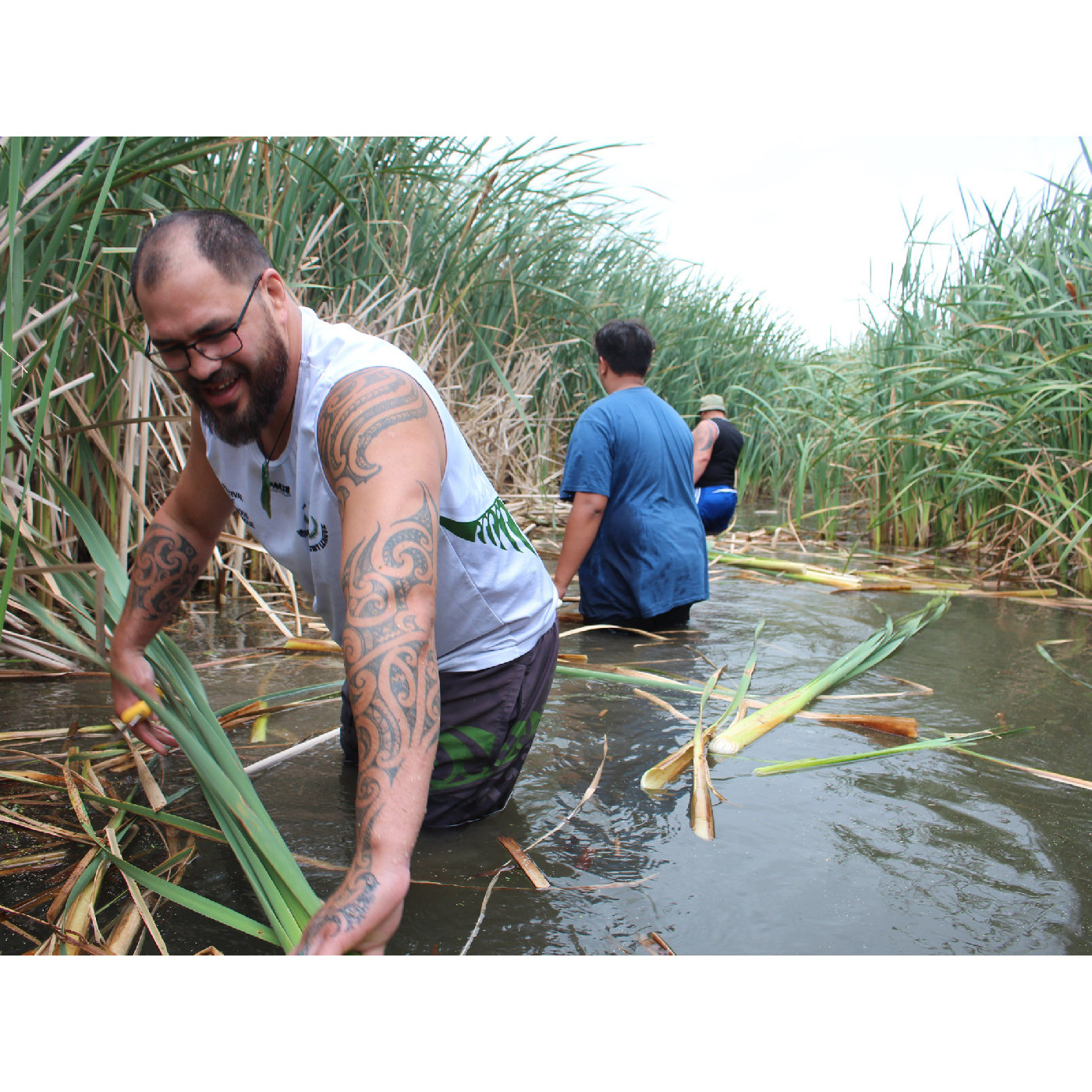 Our Environment and Conservation