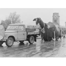Cow float in Leeston procession 