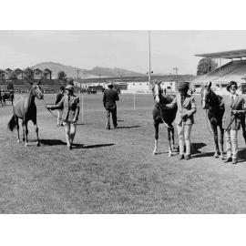 Being judged at a horse show 