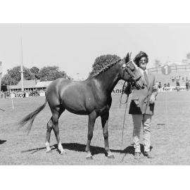 Horse show competitor