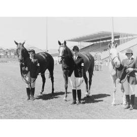 Judging at Horse Show