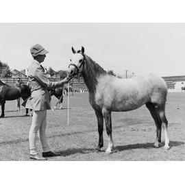 Horse show competitor