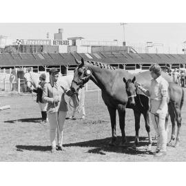 Judging at Horse Show